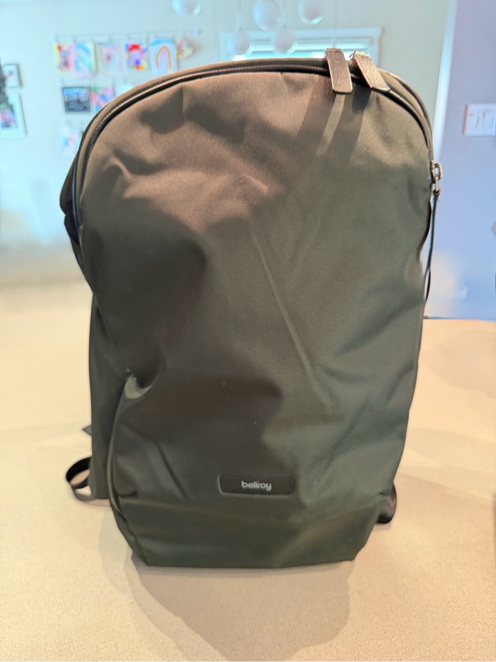 Bellroy Olive Green Transit Workpack Pro 22L Backpack - Streamlined Urban Carry